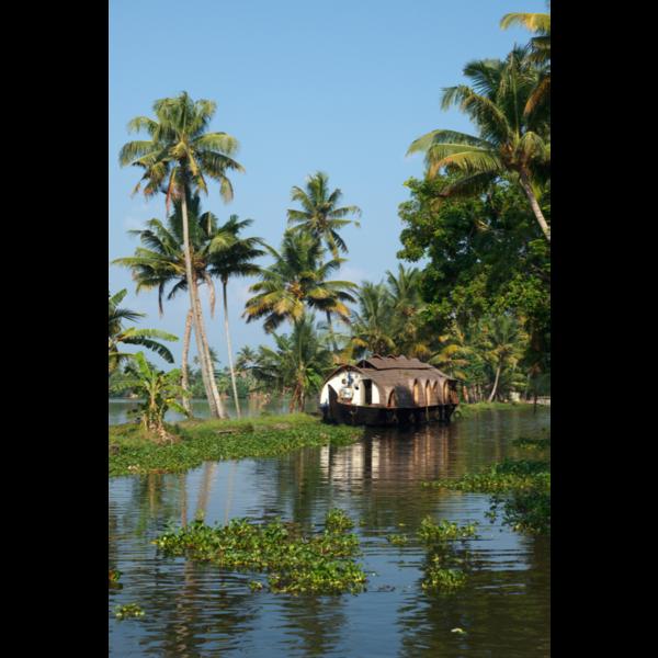 peaceful settings