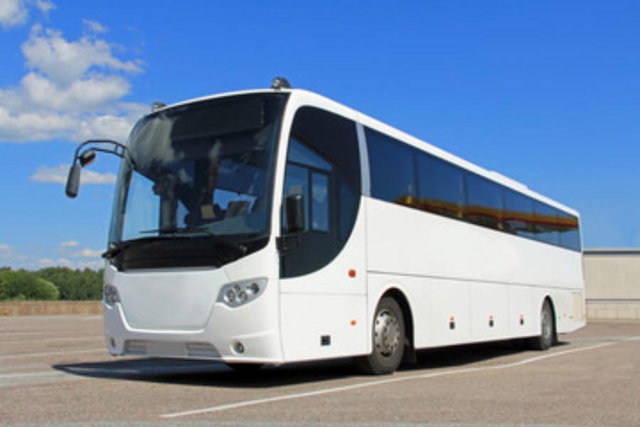 large 49seater coaches