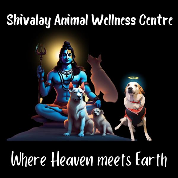 Shivalay A