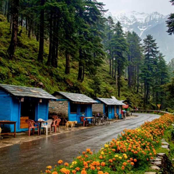 kashmir leh ladakh tour