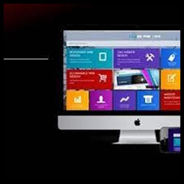 increase organic traffic leads