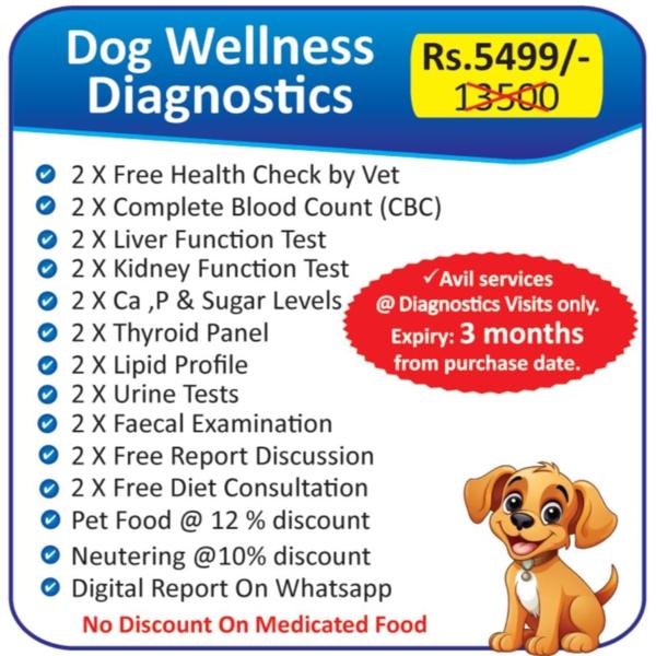 animal emergency care and pet 