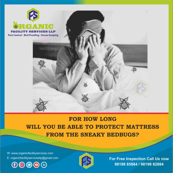 Bed Bug Service Borivali
