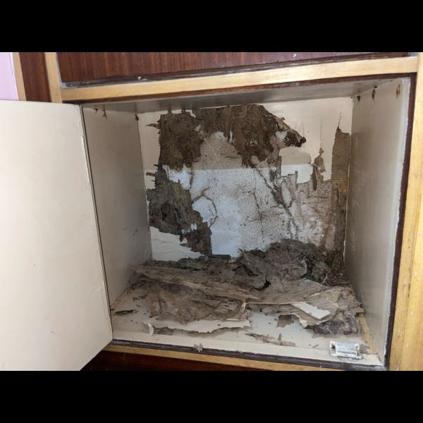 warranties common signs