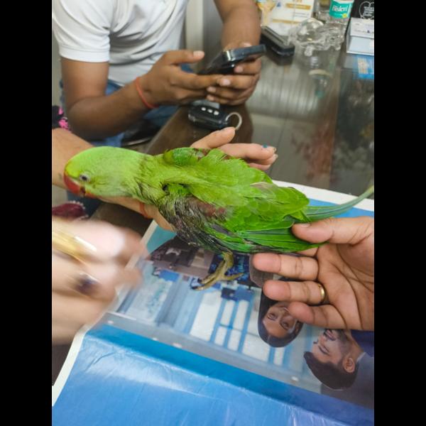 update image