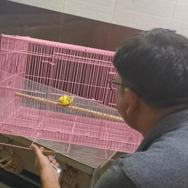 update image