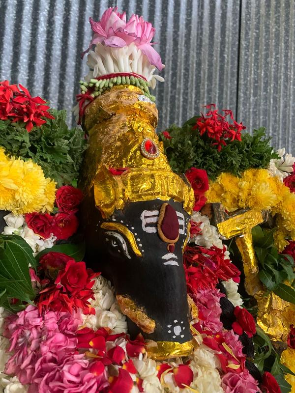 benevolent counterpart