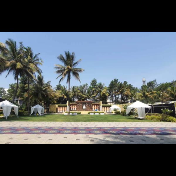 open lawn
