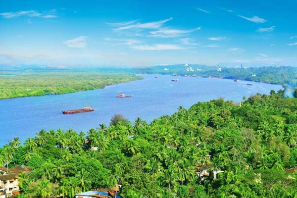 immersive real life jungle exp