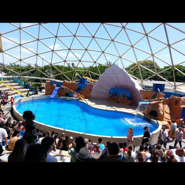 marine mammal park