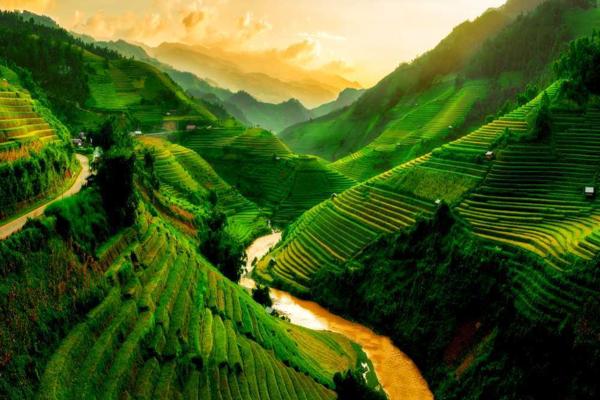 the tegallalang rice terraces