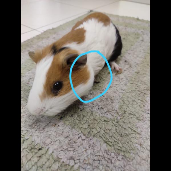 update image