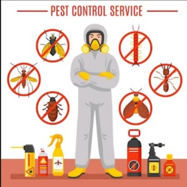 Termite control in Manpada, Th