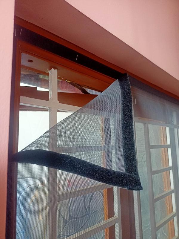 budget friendly low maintenanc