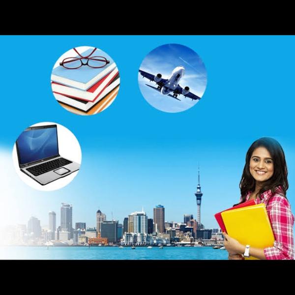 globally recognized medical de