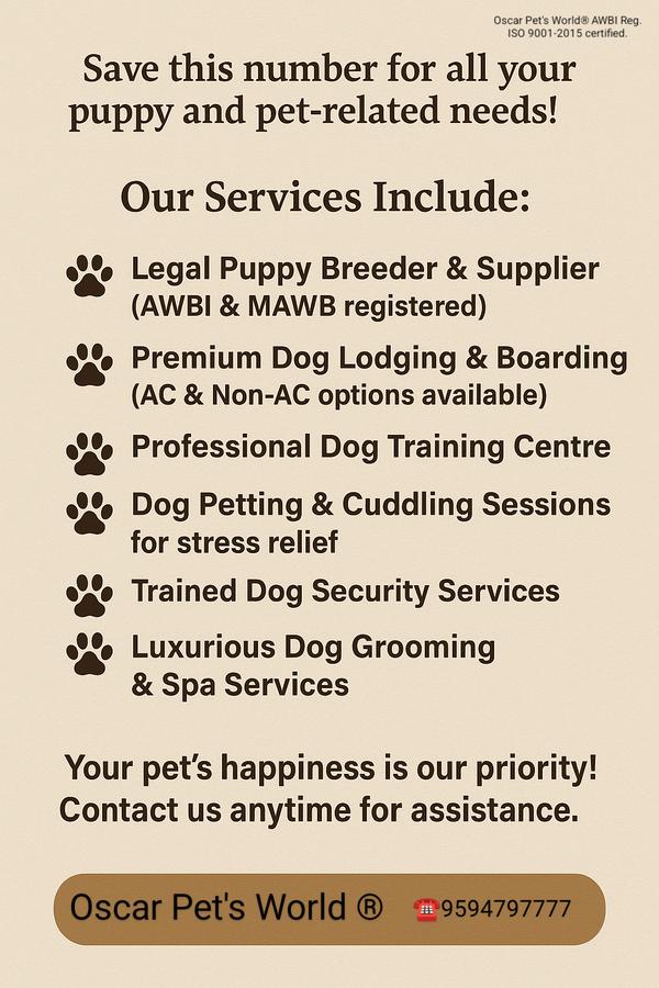 grooming sessions