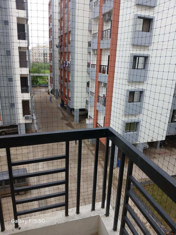bird net installation near me