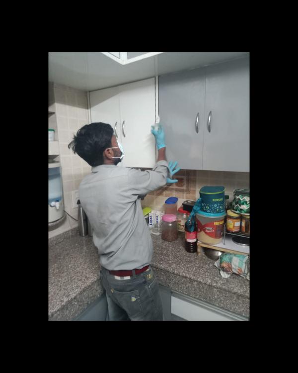 pest control services delhi