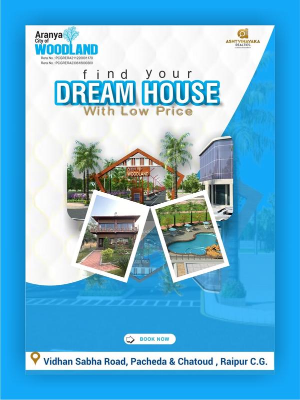 dream project