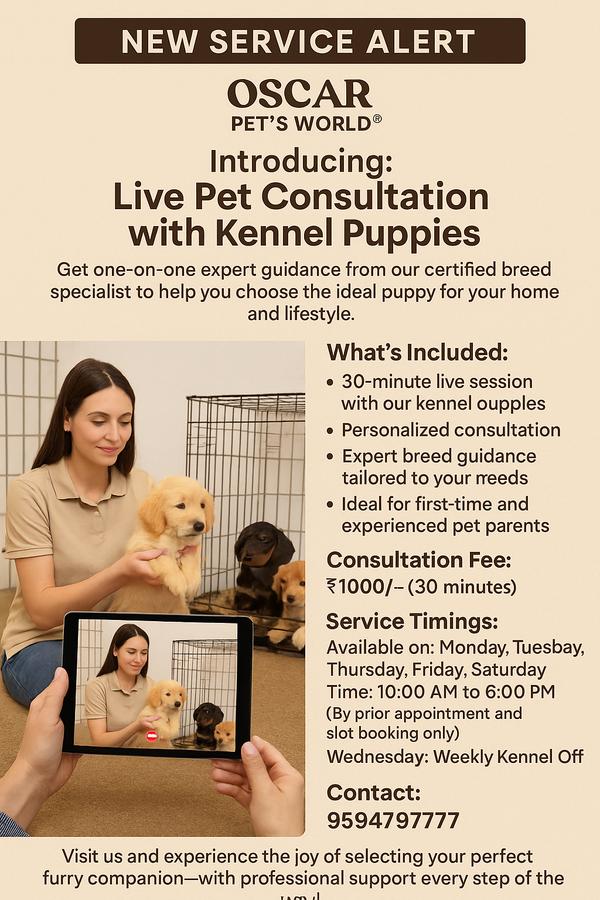 thane pet consultation service