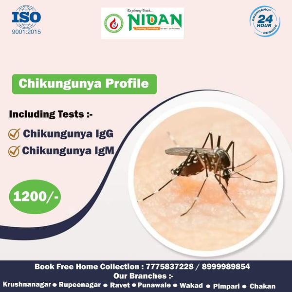 free home collection pathology