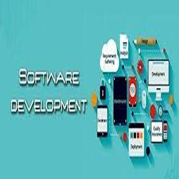 best web developers in palpann