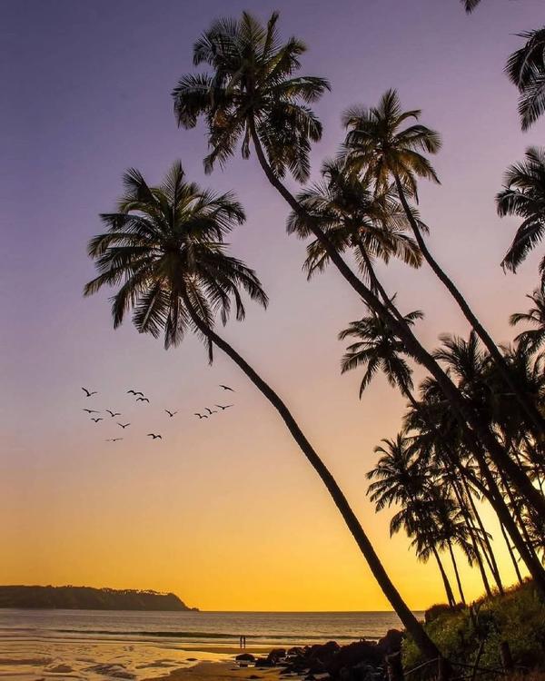 north goa beaches and forts