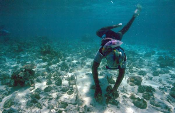 untouched marine biosphere
