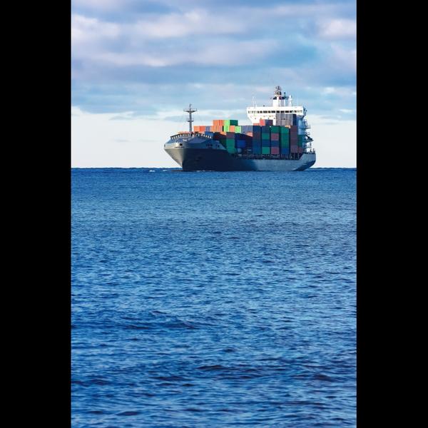 bulk cargo overseas