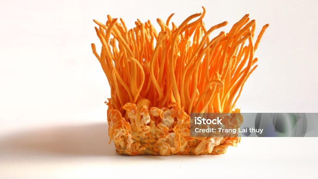 NEXT 103rd AND 104th WORL