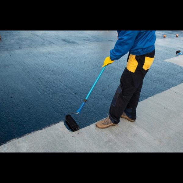 water mold