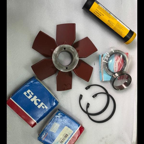 2901191021 MOTOR OVERHAUL KIT 