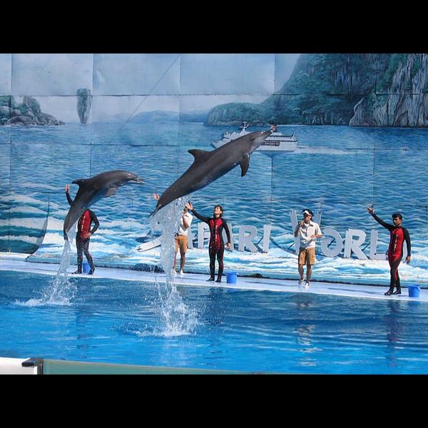 aquatic animals