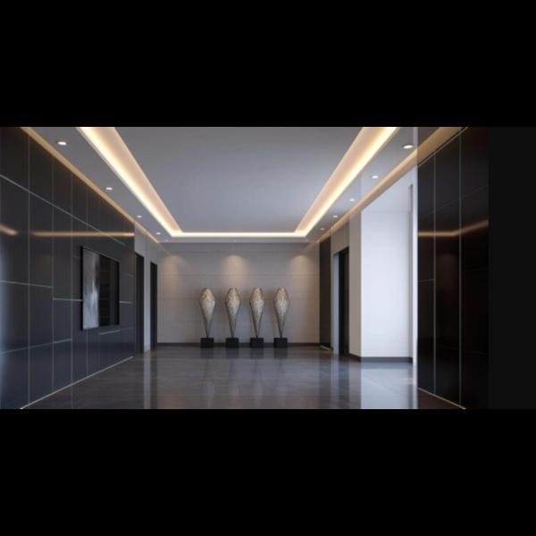 minimalist ceilings