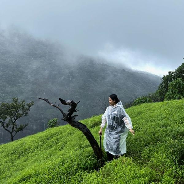 saputara tour packages