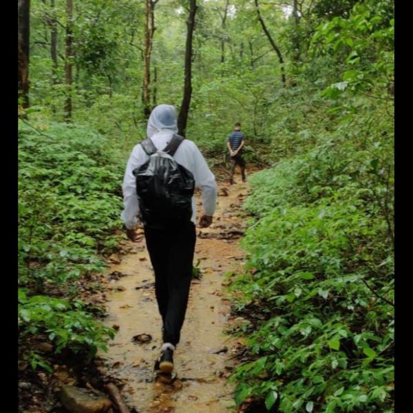 saputara tour packages