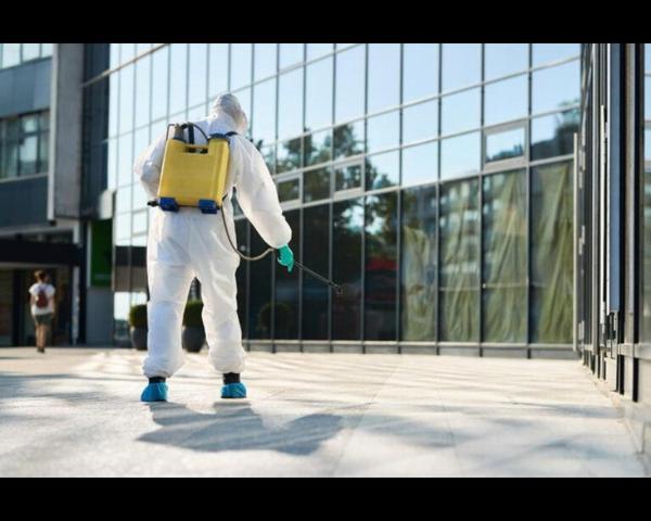 pest control in jasola