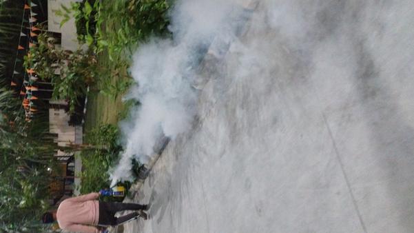 mosquito management