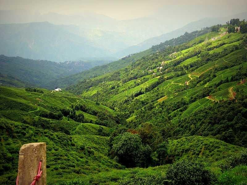 himalayan foothills