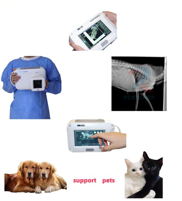 Portable Pet X-ray service in