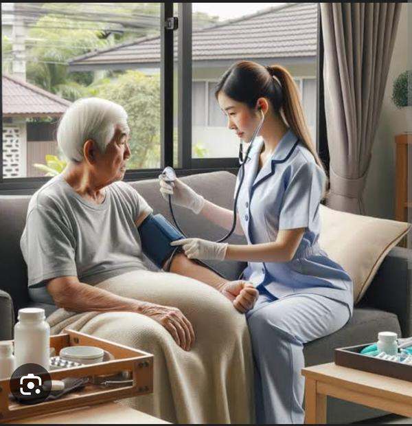 Seva home nursing services Bes