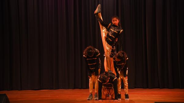 dance classes for all levels d