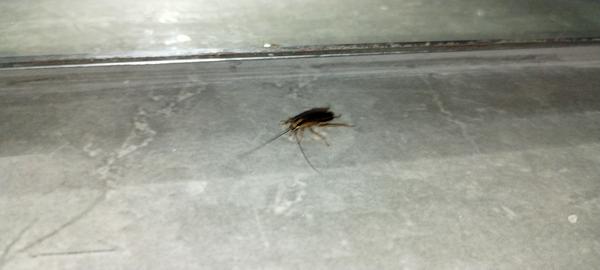 Protect your health from aller