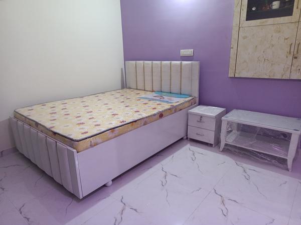 Latest Palang plywood 5 varsh Ni warranty