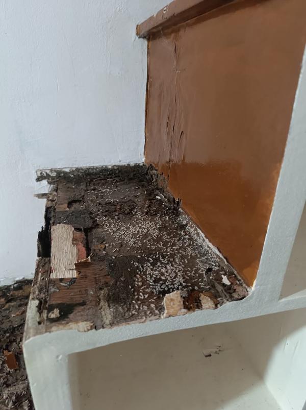update image
