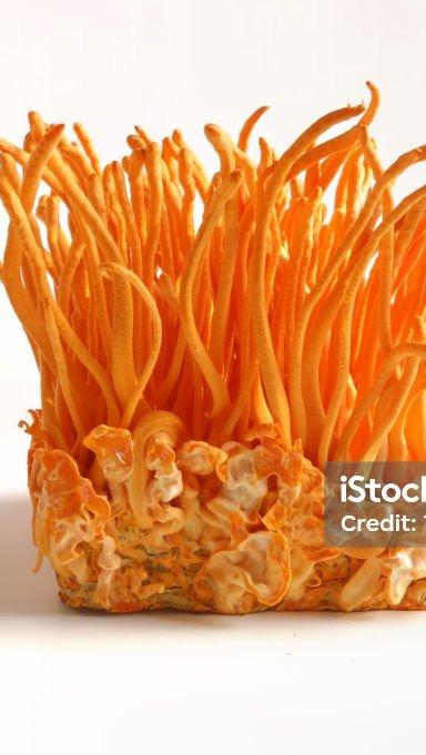 NEXT 103rd AND 104th WORL