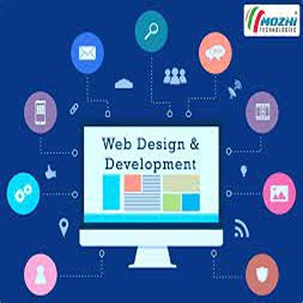 customized web development ser
