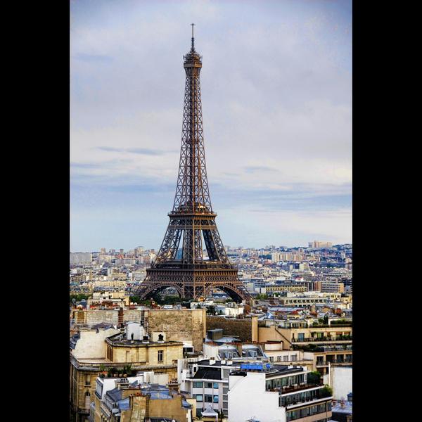 maasai mara national reserve t