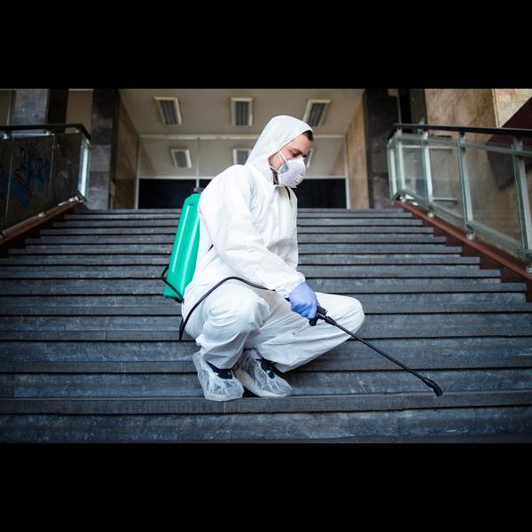 termite control new delhi