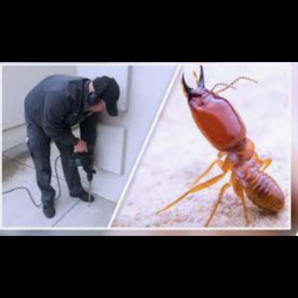 skilled technicians conduct